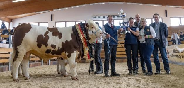 Sieger Simmental [146_VDSI_Ansbach__21-10-30_590(1).jpg,64 KB]