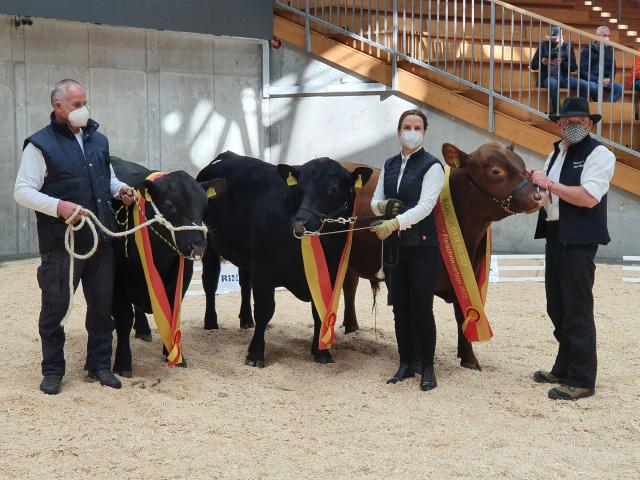 Angus Gruppe [Ang_Gruppe.jpg,120 KB]
