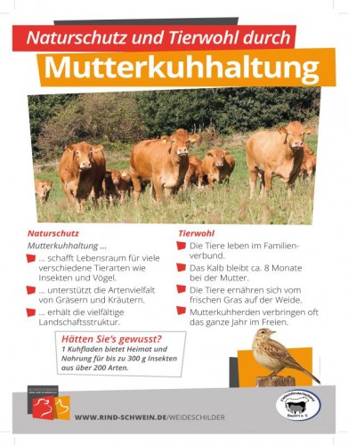 Weideschild Mutterkuhhaltung [Weideschild_Naturschutz_FVB.jpg,64 KB]