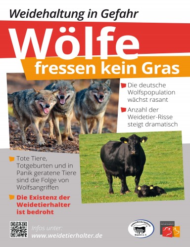 Weideschild Wolf [Weideschild_wolf.jpg,67 KB]